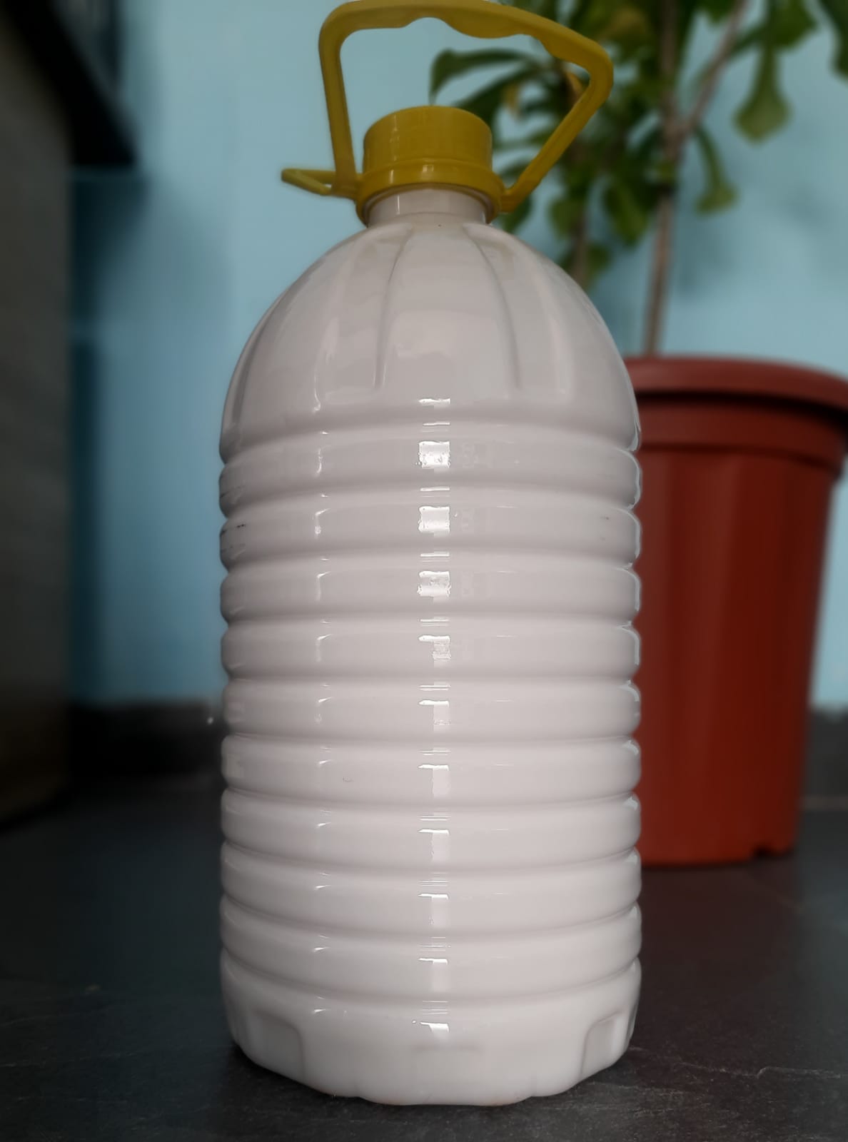 L10 White Phynel- 5 L