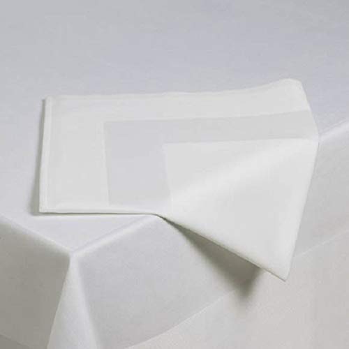 Restaurant Napkins